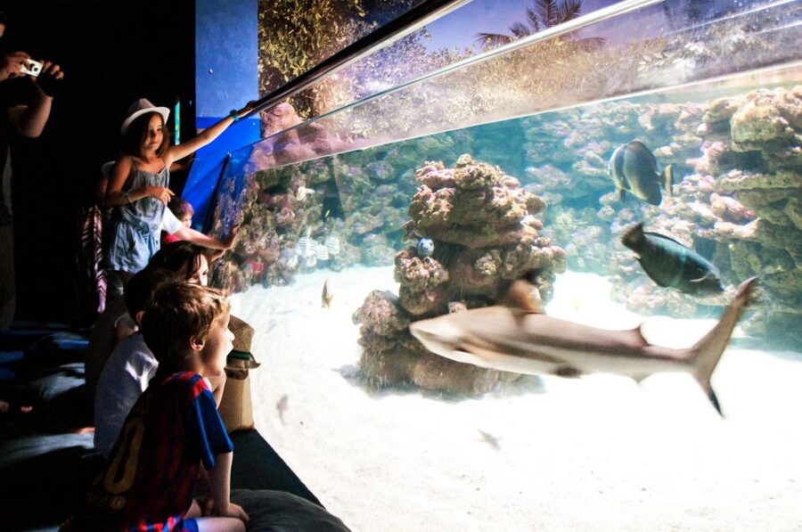 Mallorca: Palma Aquarium Entry Ticket w/ Optional 3D Cinema - Tropical and Jungle habitats change the mood