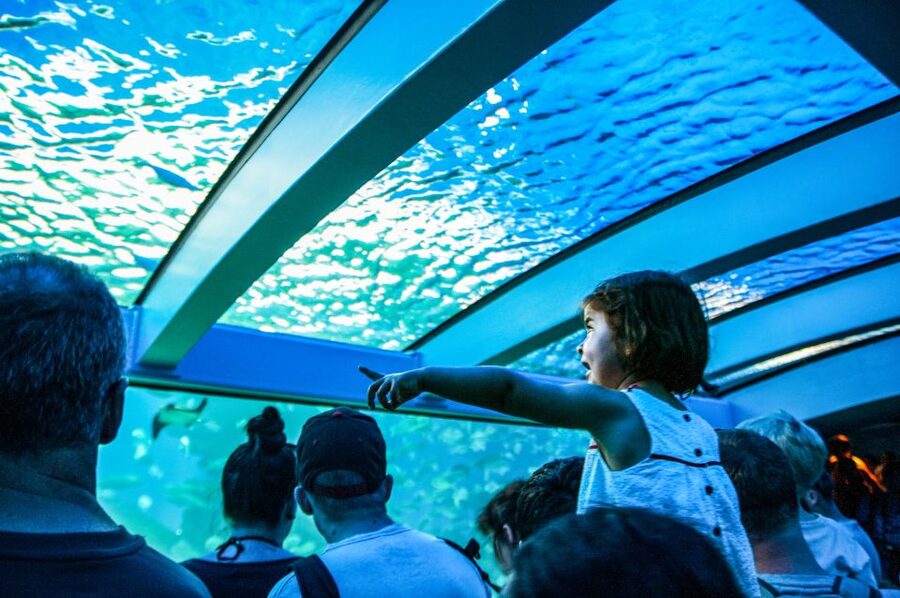 Mallorca: Palma Aquarium Entry Ticket w/ Optional 3D Cinema - Daily feedings give your visit a timetable