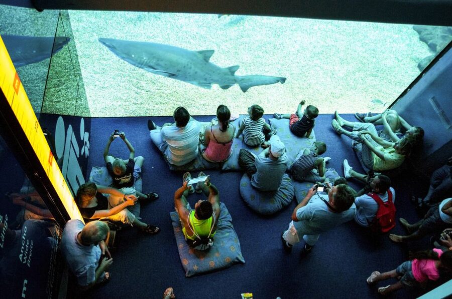 Mallorca: Palma Aquarium Entry Ticket w/ Optional 3D Cinema - Outdoor areas help families manage a full day