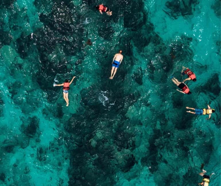 Mallorca: Palma Boat Tour & Snorkeling with Drink Included - The 70-minute stop: swimming, snorkeling, and small fish