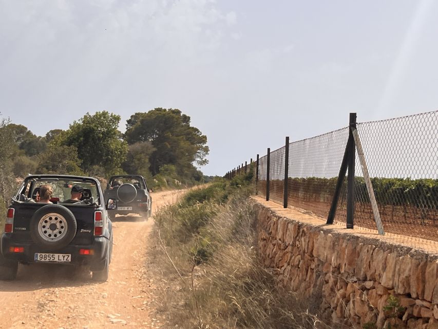 Mallorca: Self Drive 4x4 Jeepsafari Tour - Key points to know before booking