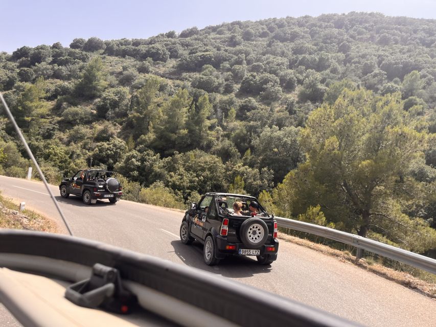 Mallorca: Self Drive 4x4 Jeepsafari Tour - The swim and snorkelling break