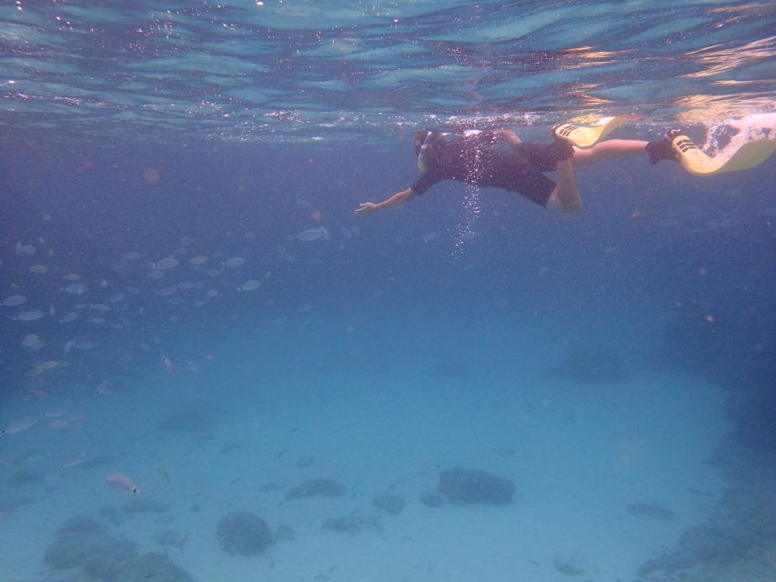 Mallorca: Snorkeling in a Beautiful Nature Reserve - What the 3.5-hour Mallorca snorkeling trip is really like