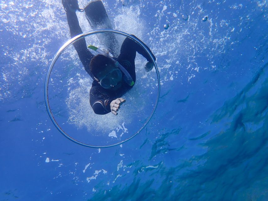 Mallorca: Snorkeling in a Beautiful Nature Reserve - What you may see in the protected water