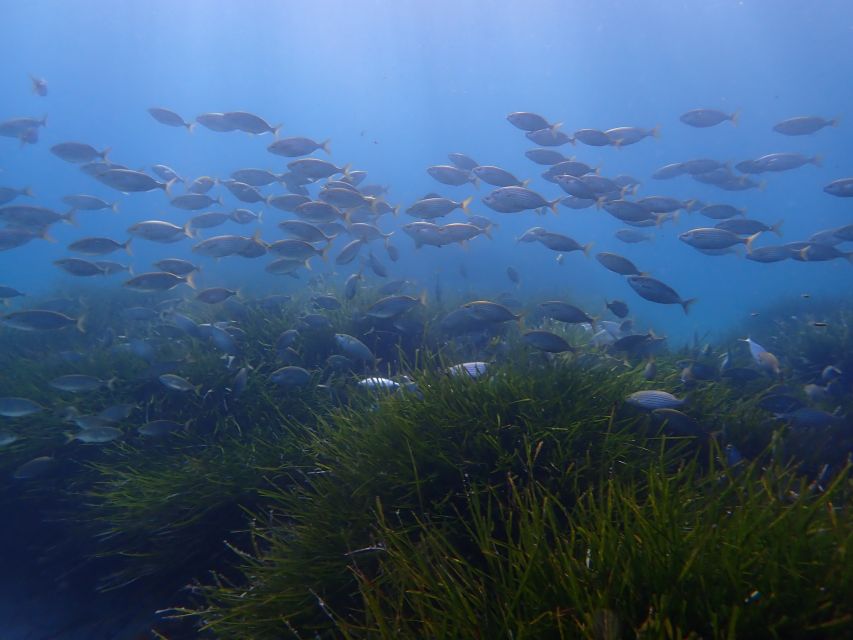 Mallorca: Snorkeling in a Beautiful Nature Reserve - A realistic look at the timing