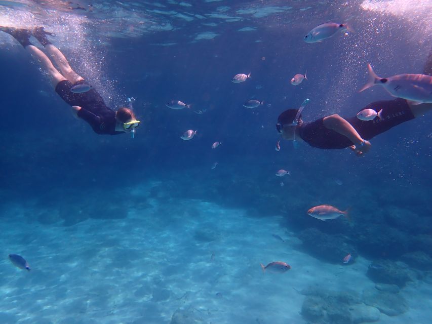 Mallorca: Snorkeling in a Beautiful Nature Reserve - Photographs are useful, but not included
