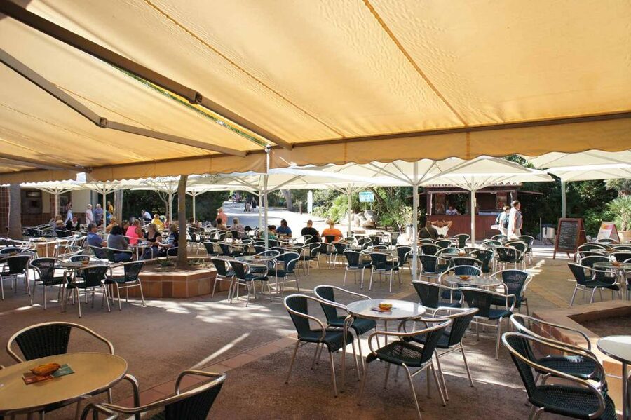 Mallorca: Ticket for Caves of Drach with Pickup Service - Twenty minutes in Porto Cristo