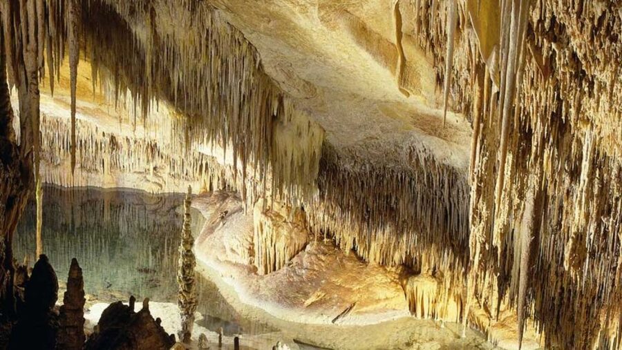 Mallorca: Ticket for Caves of Drach with Pickup Service - Pickup from Mallorca and the ride to Porto Cristo