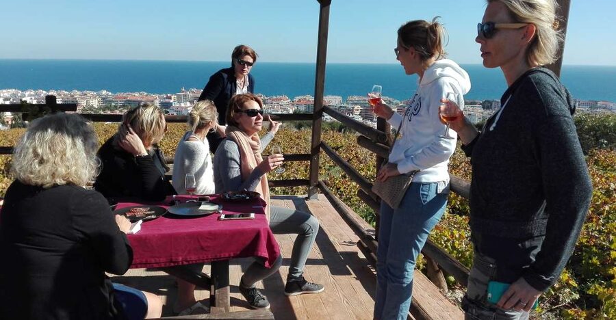 Manilva: Nilva Vineyard, Wine Tasting & Tapas Guided Tour - Why Manilva wine matters