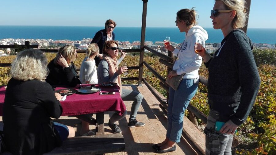 Manilva: Nilva Vineyard, Wine Tasting & Tapas Guided Tour - See Nilva’s small artisan winery