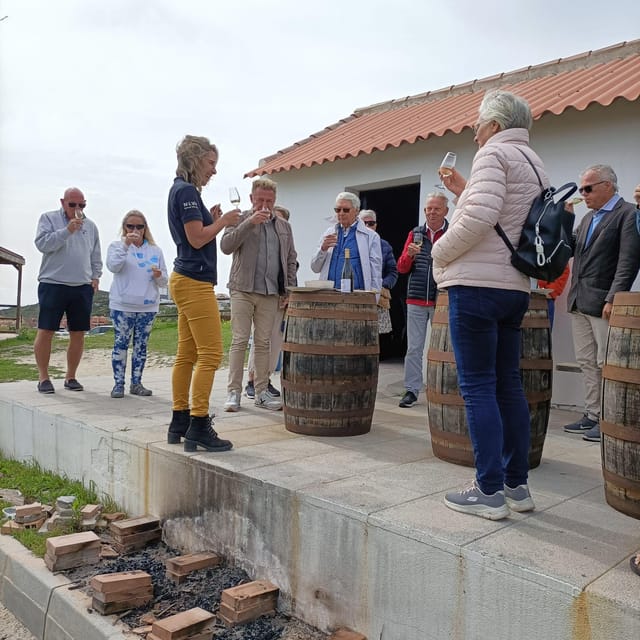 Manilva: Nilva Vineyard, Wine Tasting & Tapas Guided Tour - Reach the vineyard by car or on foot