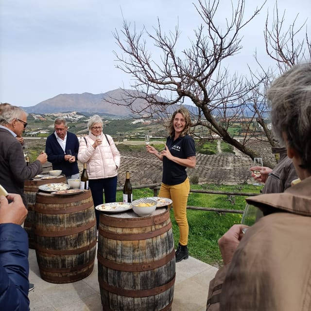 Manilva: Nilva Vineyard, Wine Tasting & Tapas Guided Tour - Taste Nilva wines with local tapas