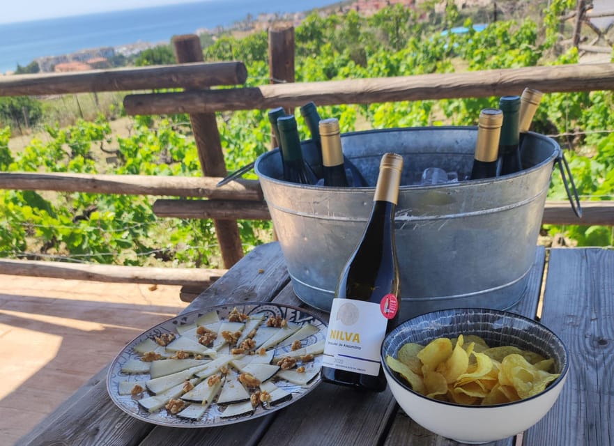 Manilva: Nilva Vineyard, Wine Tasting & Tapas Guided Tour - What the $35 price really covers