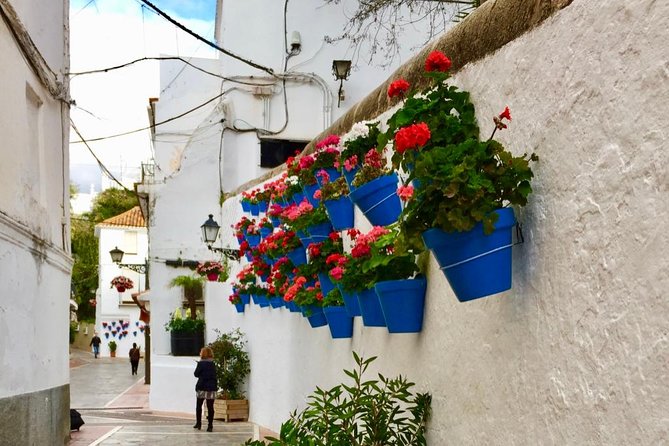 Marbella Old Town: Group Tour with a True Local - Plaza de los Naranjos, the classic finish