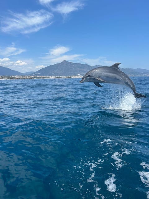 Marbella: Sailing & Dolphin Watching with Snacks and Drinks - Setting Sail from Puerto Banús Pier 4