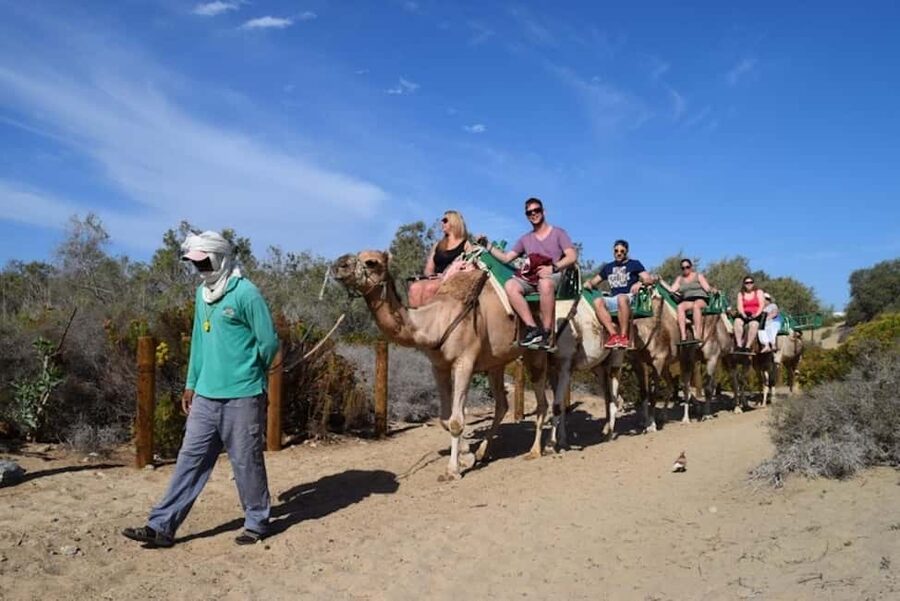 Maspalomas: Guided Camel Ride in the Maspalomas Sand Dunes - Small Details That Make the Ride Better