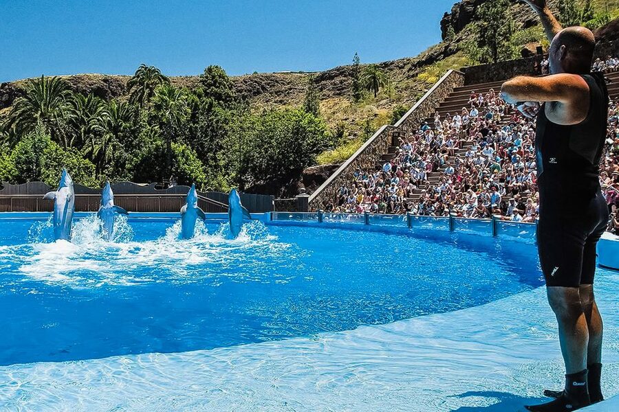 Maspalomas: Palmitos Park Ticket with Dolphin and Bird Shows - A full animal park, not just a dolphin attraction