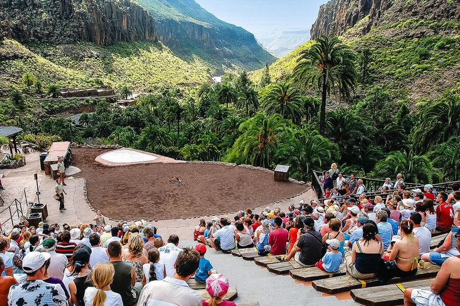 Maspalomas: Palmitos Park Ticket with Dolphin and Bird Shows - Planning your day around the shows
