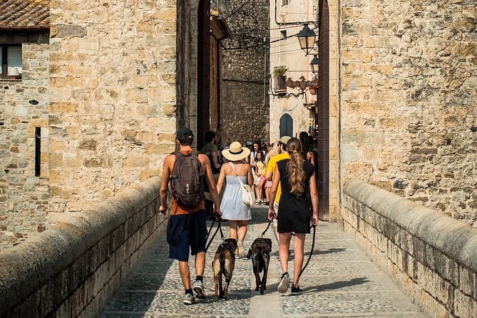Medieval Three Villages Small Group Day Trip from Barcelona - Castellfollit de la Roca: a quick look at a remarkable perch