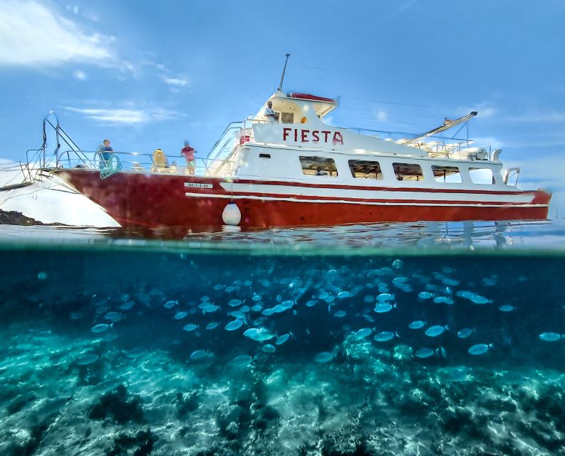 Menorca: Full-Day Boat Tour with Paella Lunch - Key points to know before booking