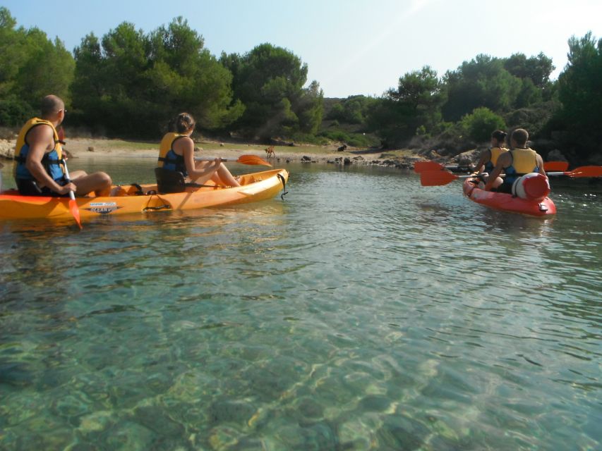 Menorca: Half-Day Kayak Excursion in Fornells - Practical tips for a smoother outing