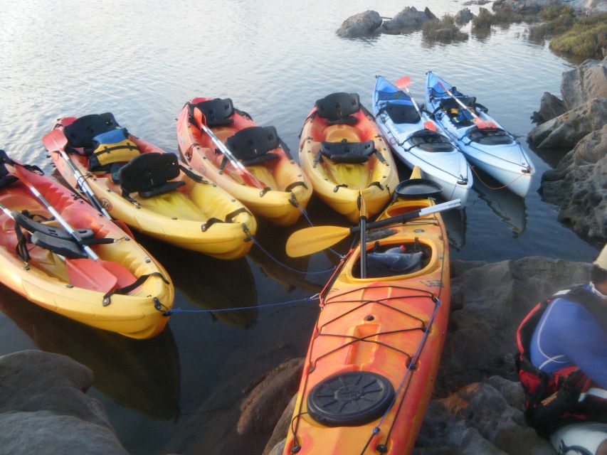 Menorca: Half-Day Kayak Excursion in Fornells - A relaxed pace with regular pauses