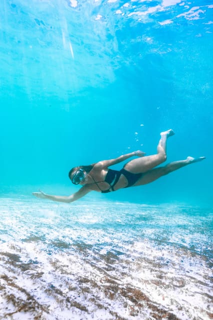 Menorca: Natural Coves and Beaches Boat Trip & Paella Lunch - Is $63 a fair price?