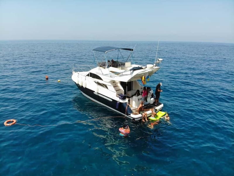 Mogan: Dolphin Watching Boat Trip with Swim Stop - A small yacht makes the dolphin search personal