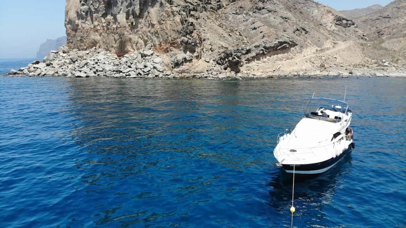 Mogan: Dolphin Watching Boat Trip with Swim Stop - The sheltered beach stop changes the pace
