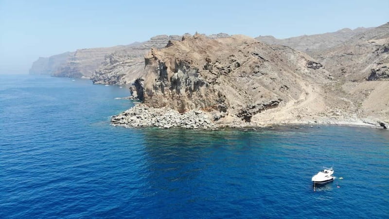 Mogan: Dolphin Watching Boat Trip with Swim Stop - Why $96 can be fair value