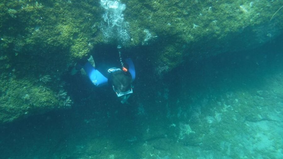 Mogán: Guided Kayak to Caves and Snorkeling Tour - Who will enjoy this tour most