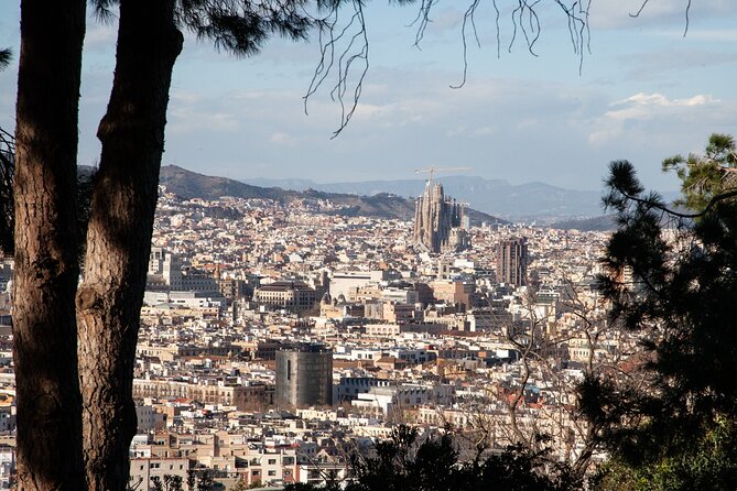 Montjuïc Walking Tour With Optional Flamenco Show - Starting at Montjuïc Castle