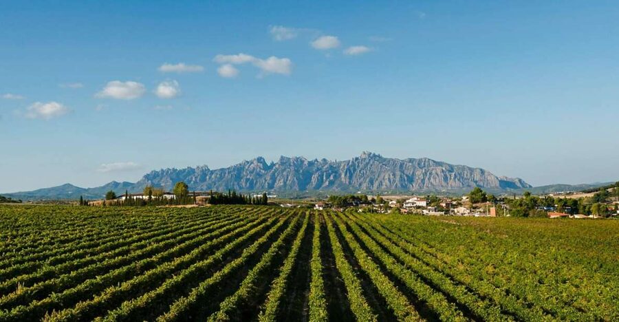 Montserrat & Cava Wineries Day Trip from Barcelona w/ Pickup - Morning pickup and the ride from Barcelona