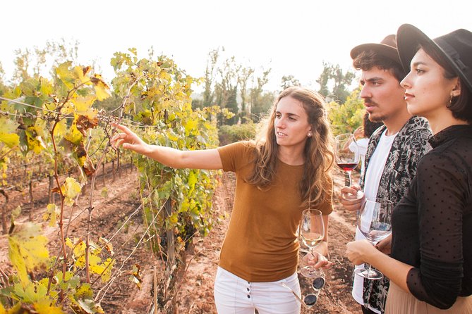 Montserrat & Cogwheel Train, Gourmet Wine Tasting & Tapas/Lunch - Why Montserrat makes a strong day trip from Barcelona