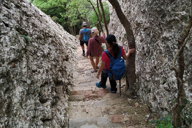 Montserrat Hiking Experience & Monastery Premium Small Group Tour - Free time, Catalan food, and the farmer’s market