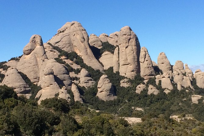 Montserrat Hiking Experience & Monastery Premium Small Group Tour - Who will enjoy this day most