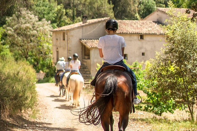 Montserrat Monastery & Horse Riding Experience from Barcelona - The Basilica, the Moreneta, and the limits of a short stop