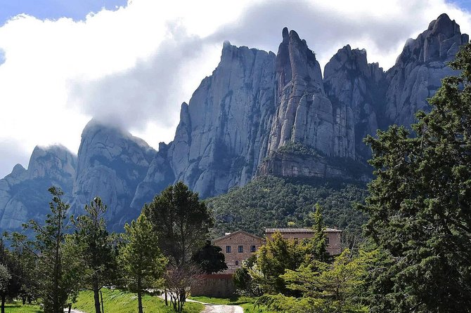 Montserrat,Vineyard, Wine Tasting Small Group Tour & Hotel Pickup - The switch from sacred mountain to Penedès vineyards
