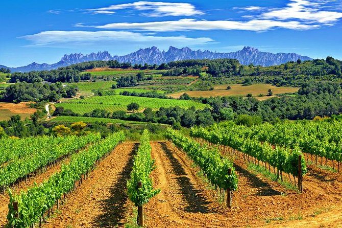 Montserrat,Vineyard, Wine Tasting Small Group Tour & Hotel Pickup - Is $130 a fair price?