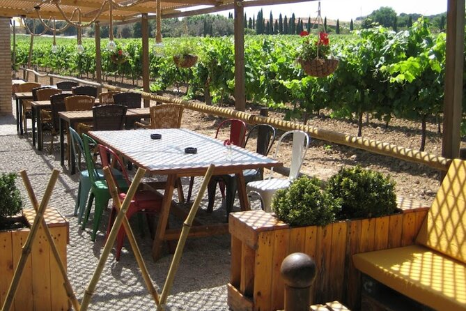 Montserrat & Winery Visit Tour with Traditional Farmhouse Lunch - Choosing between the funicular and the mountain paths