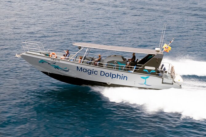 Morro Jable: 2 Hours Magic Dolphin & Whale watching with Drinks & Swim Stop. - What this Morro Jable boat trip is really about