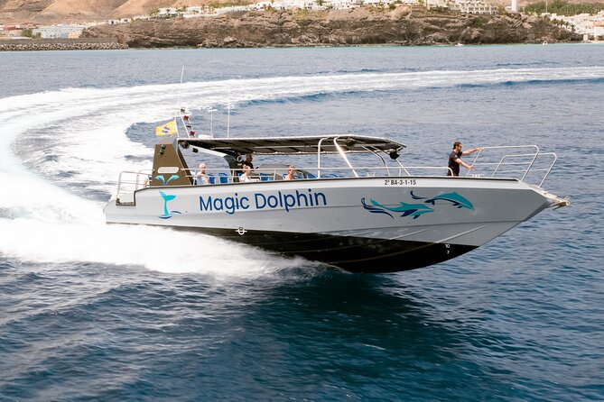 Morro Jable: 2 Hours Magic Dolphin & Whale watching with Drinks & Swim Stop. - Is two hours enough?