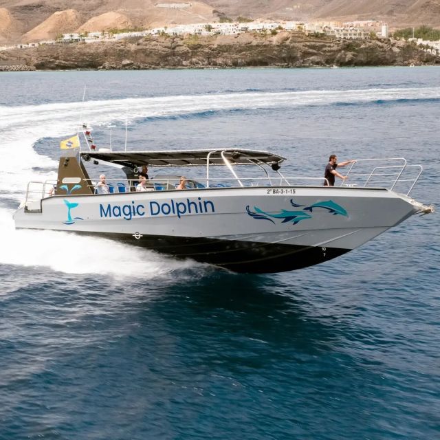 Morro Jable: Dolphin & Whale Watching Cruise, Drinks & Swim - Booking details that save hassle