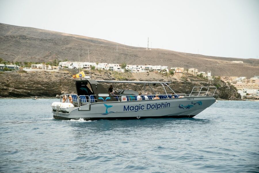 Morro Jable: Dolphin & Whale Watching Cruise, Drinks & Swim - Setting out from Morro Jable port