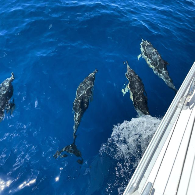 Morro Jable: Sailing Boat Excursion with Food and Drinks - The first sail and the view back toward shore