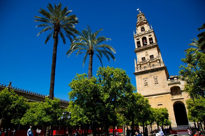 Mosque-Cathedral of Córdoba Guided Tour with Priority Tickets - Timing, group size, and physical effort