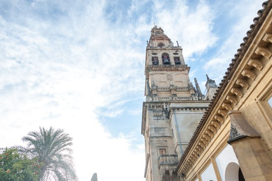 Mosque-Cathedral of Córdoba Guided Tour with Tickets - Entering the column forest