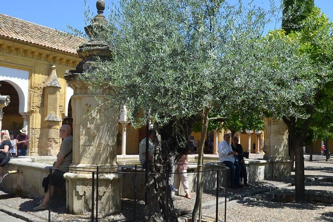 Mosque of Cordoba History Tour in English Tickets included - What the $38.71 price buys you