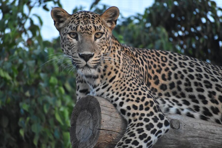 Murcia: Terra Natura Murcia Ticket Entry - Practical tips for a smoother visit