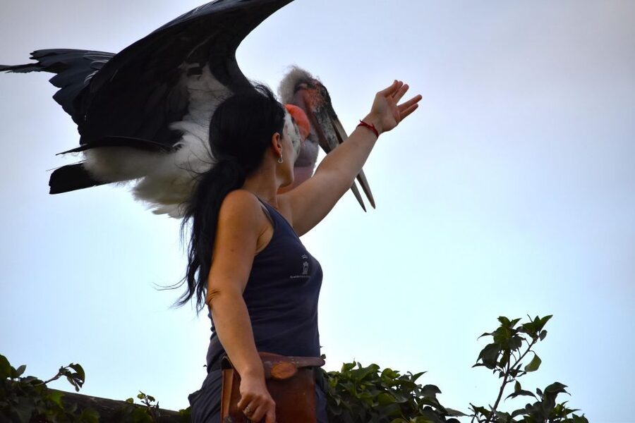 Murcia: Terra Natura Murcia Ticket Entry - Food, parking, and the real cost of the day